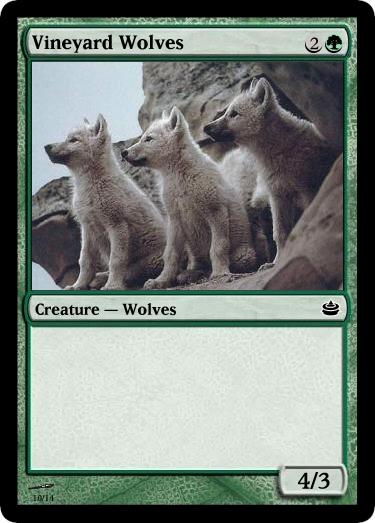 Vineyard Wolves